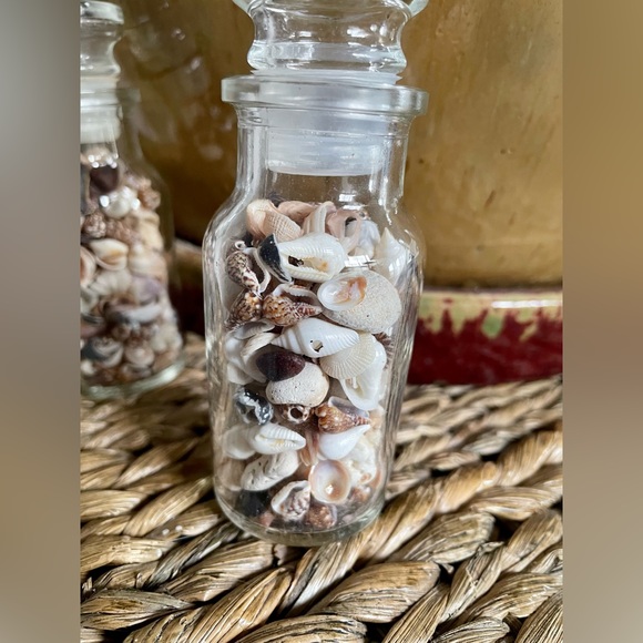 Decorative small sea shells in glass bottles - Picture 3 of 4